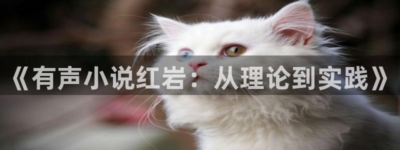 乱论午夜小说：《有声小说红岩：从理论到实践》