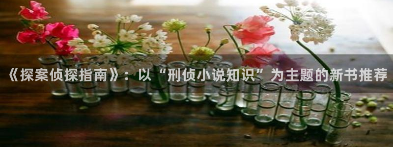 成人午夜小说网站：《探案侦探指南》：以“刑侦小说知识”为主题的新书推荐