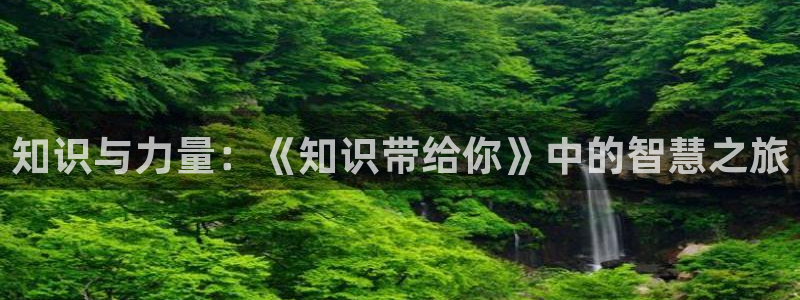 两性午夜小说：知识与力量：《知识带给你》中的智慧之旅